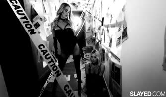 人気のm格闘動画電話プログラム